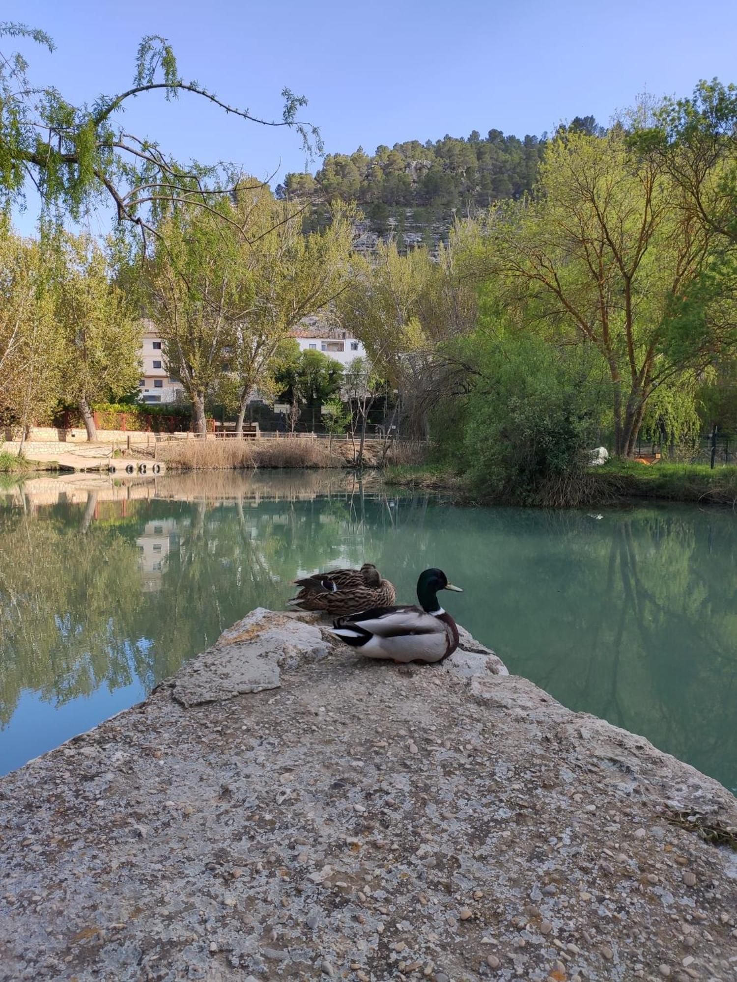 Casa Cueva ARACELI Villa Alcala del Jucar Dış mekan fotoğraf